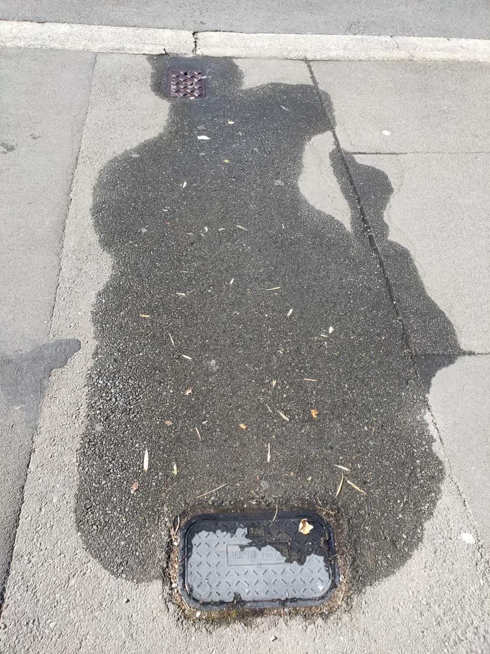 The photograph attached to this water supply report