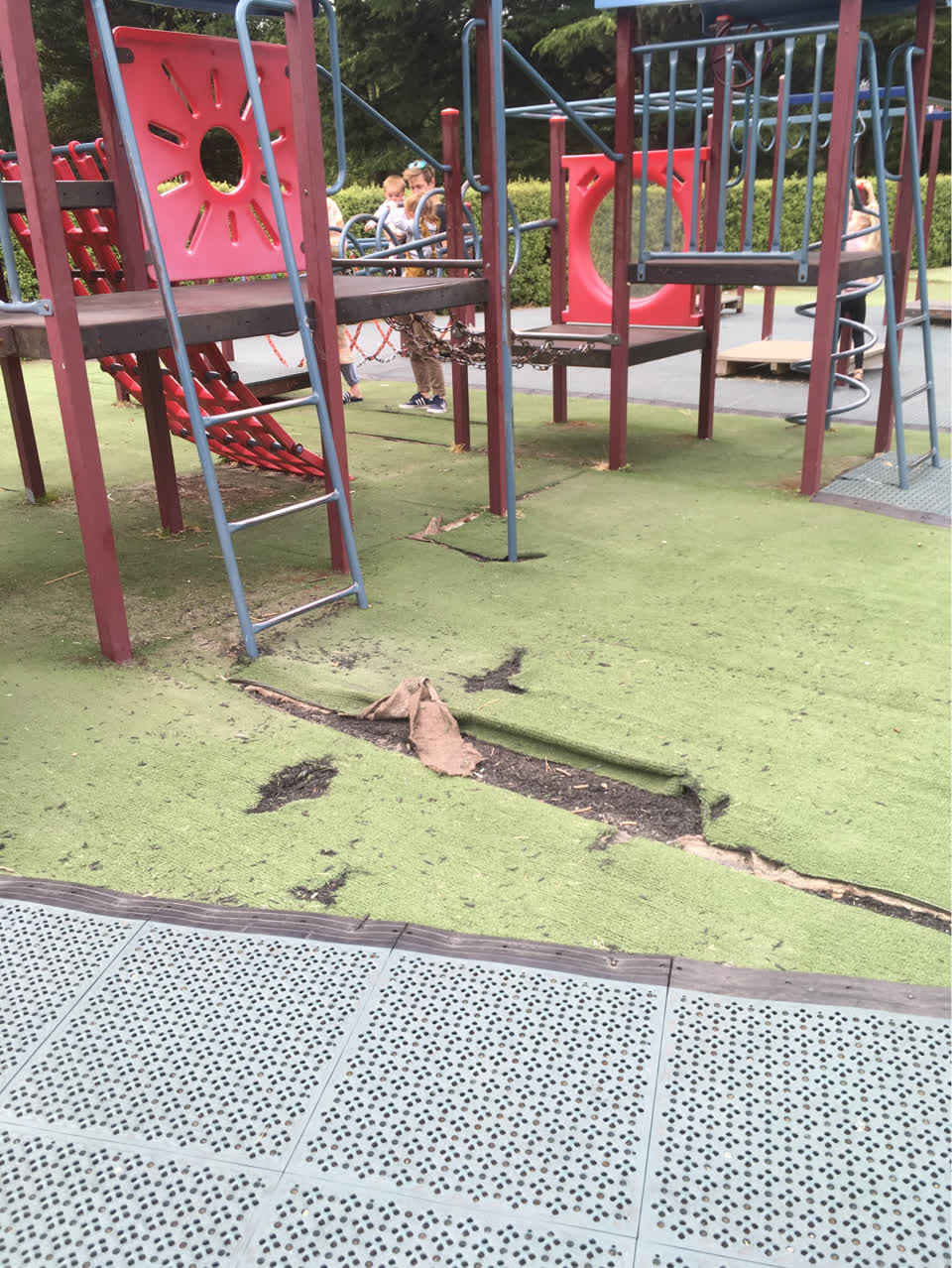 The photograph attached to this parks report