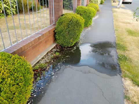 Flooding — a report photo