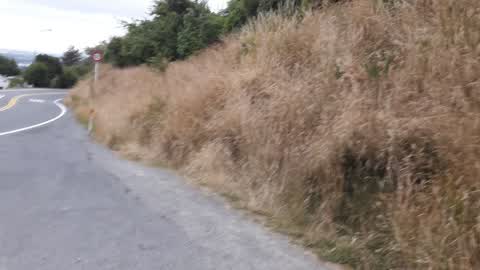 Roading/Streets, a report photo