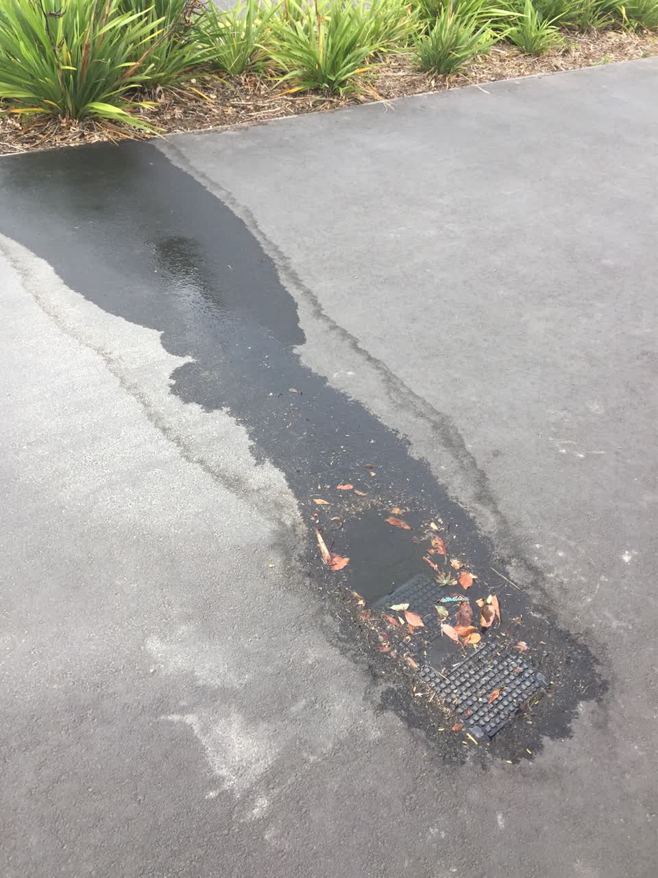 The photograph attached to this water supply report