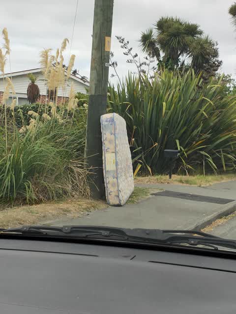 Rubbish/Recycling, a report photo
