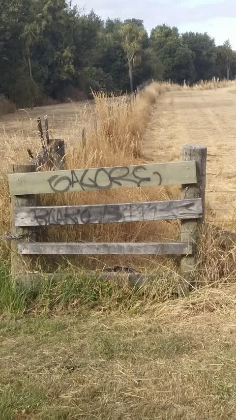 Graffiti, a report photo