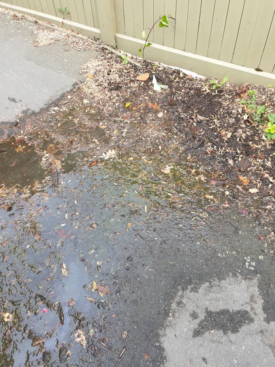 The photograph attached to this water supply report
