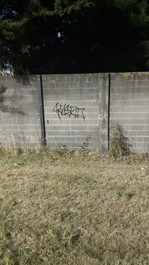 Graffiti, a report photo
