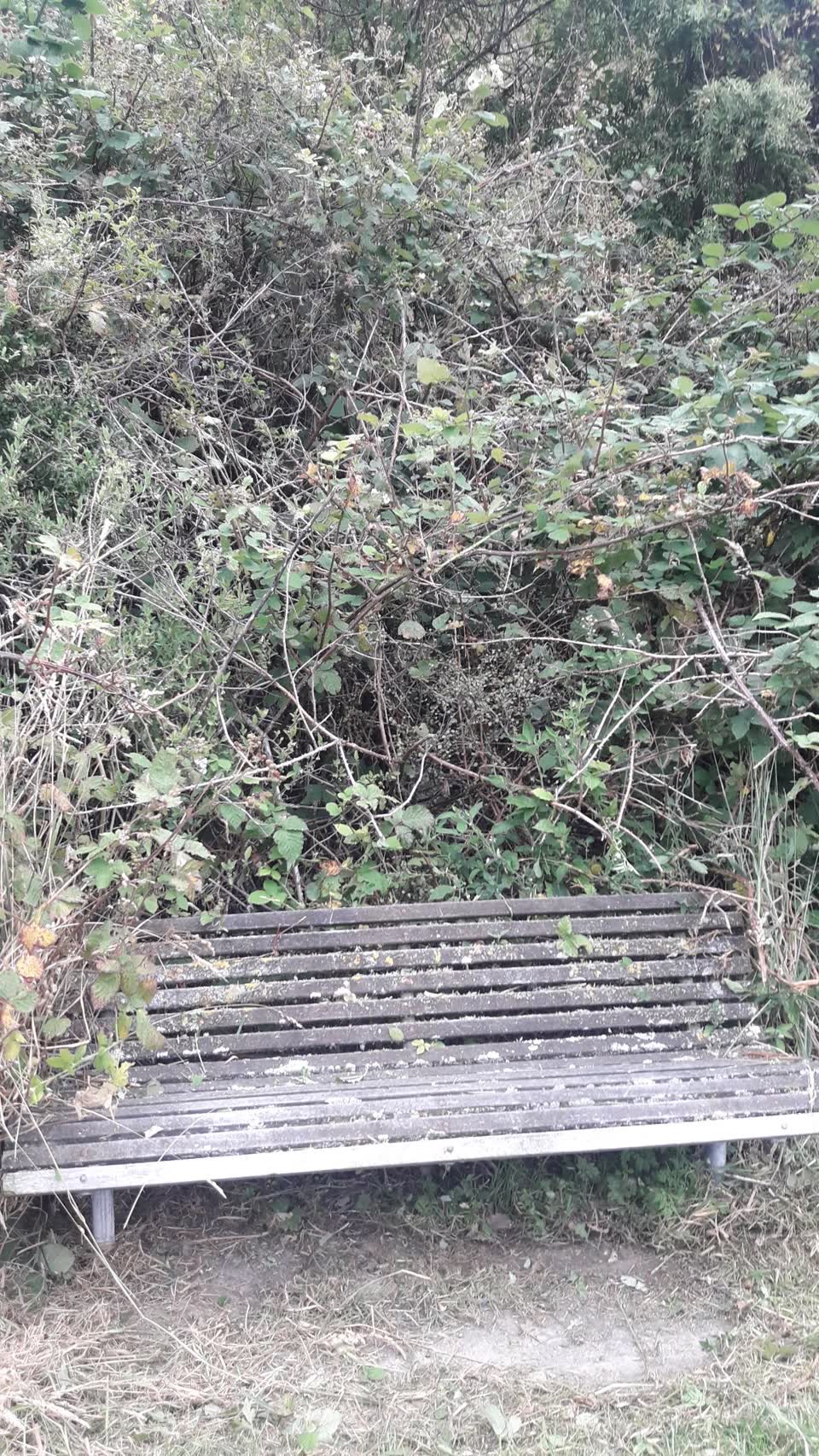 The photograph attached to this parks report