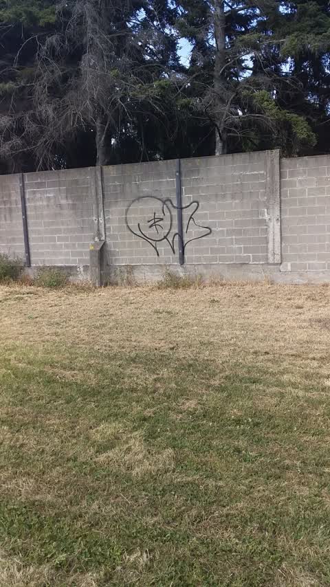 Graffiti, a report photo