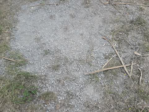 Parks, a report photo