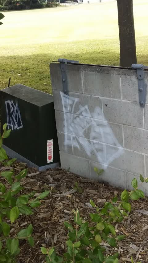 Graffiti, a report photo