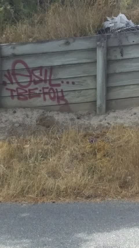Graffiti — a report photo