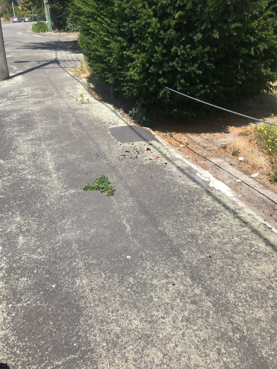 The photograph attached to this rubbish/recycling report