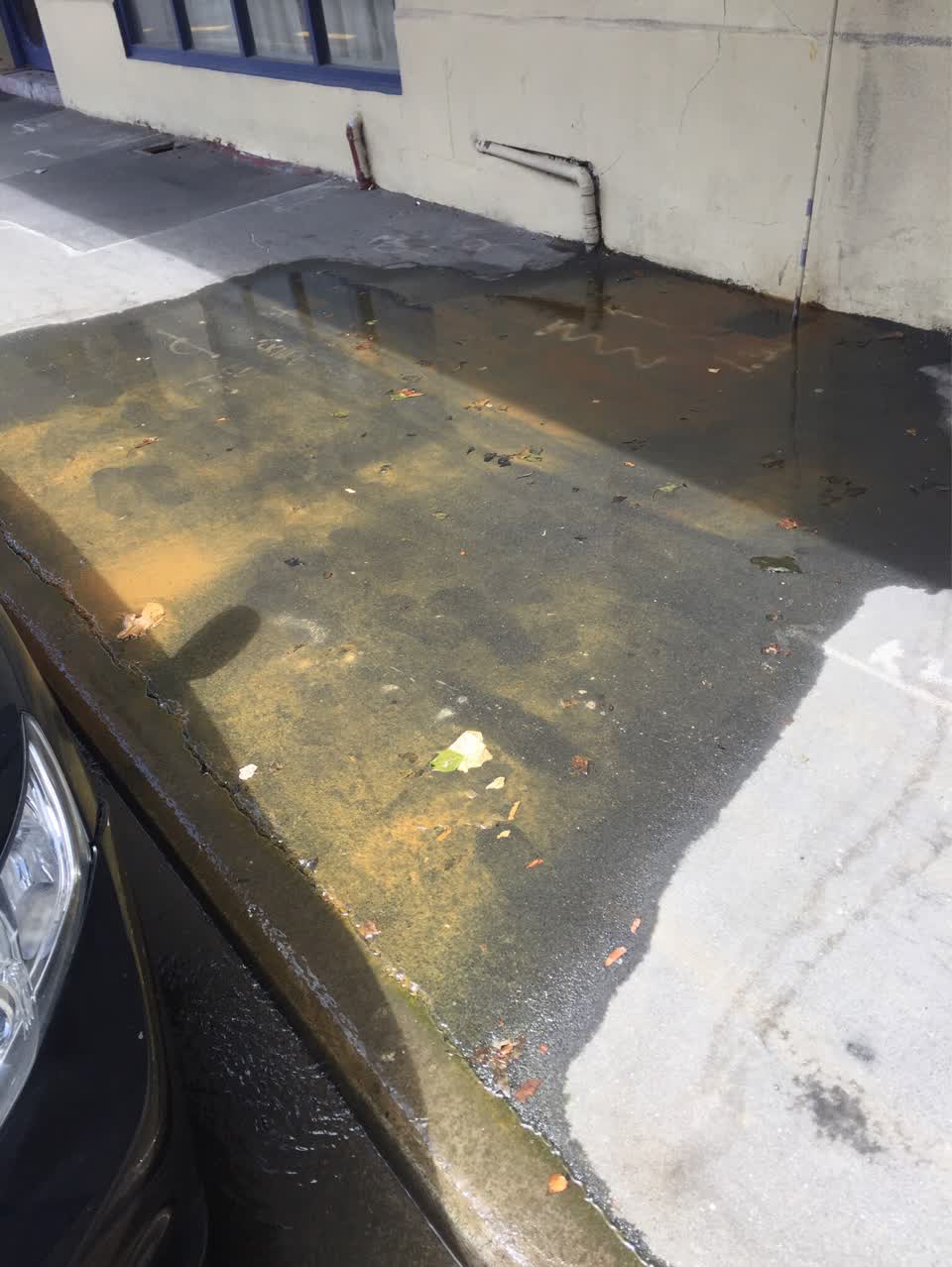 The photograph attached to this water supply report