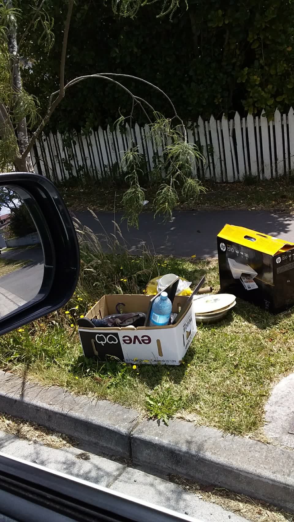 The photograph attached to this rubbish/recycling report