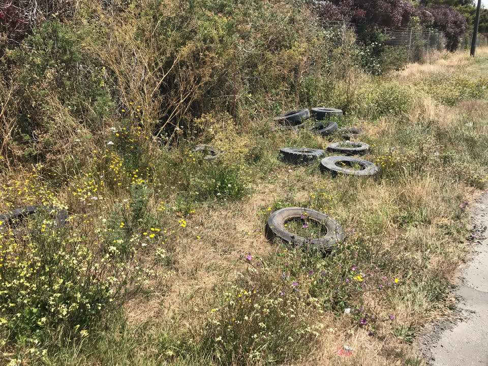 The photograph attached to this rubbish/recycling report
