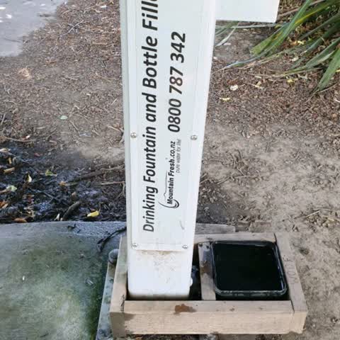 Parks, a report photo