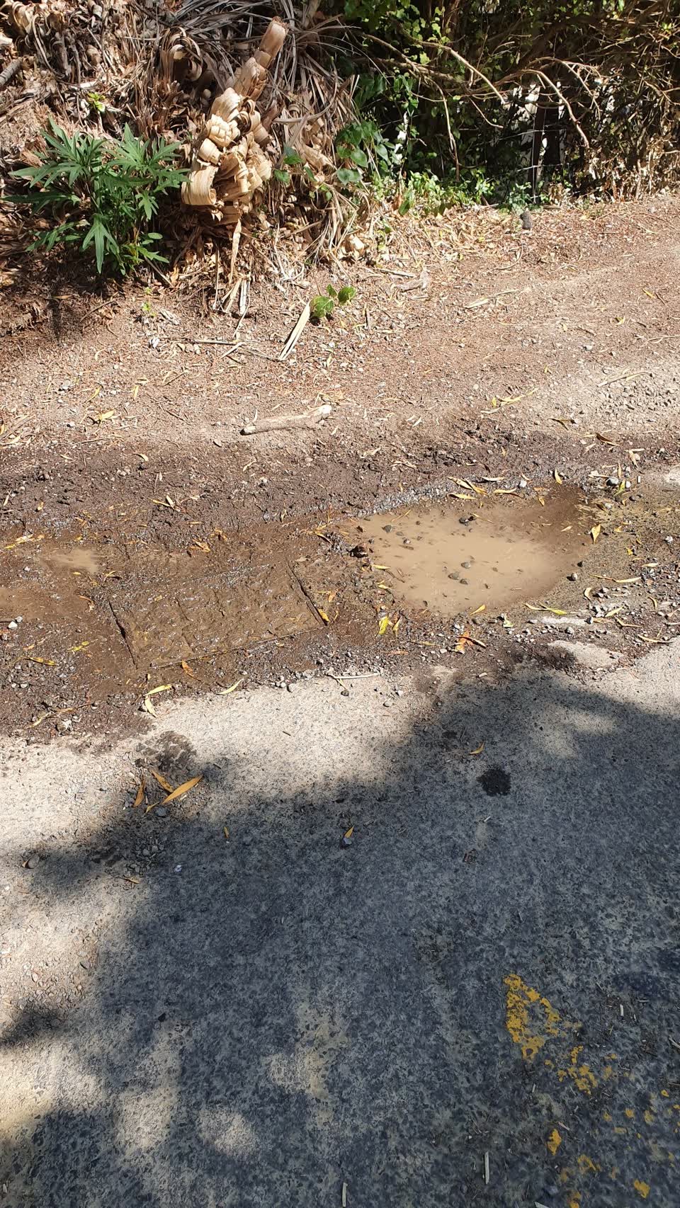 The photograph attached to this water supply report