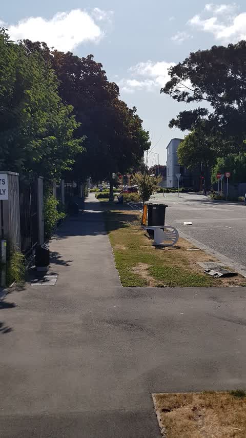 Rubbish/Recycling — a report photo