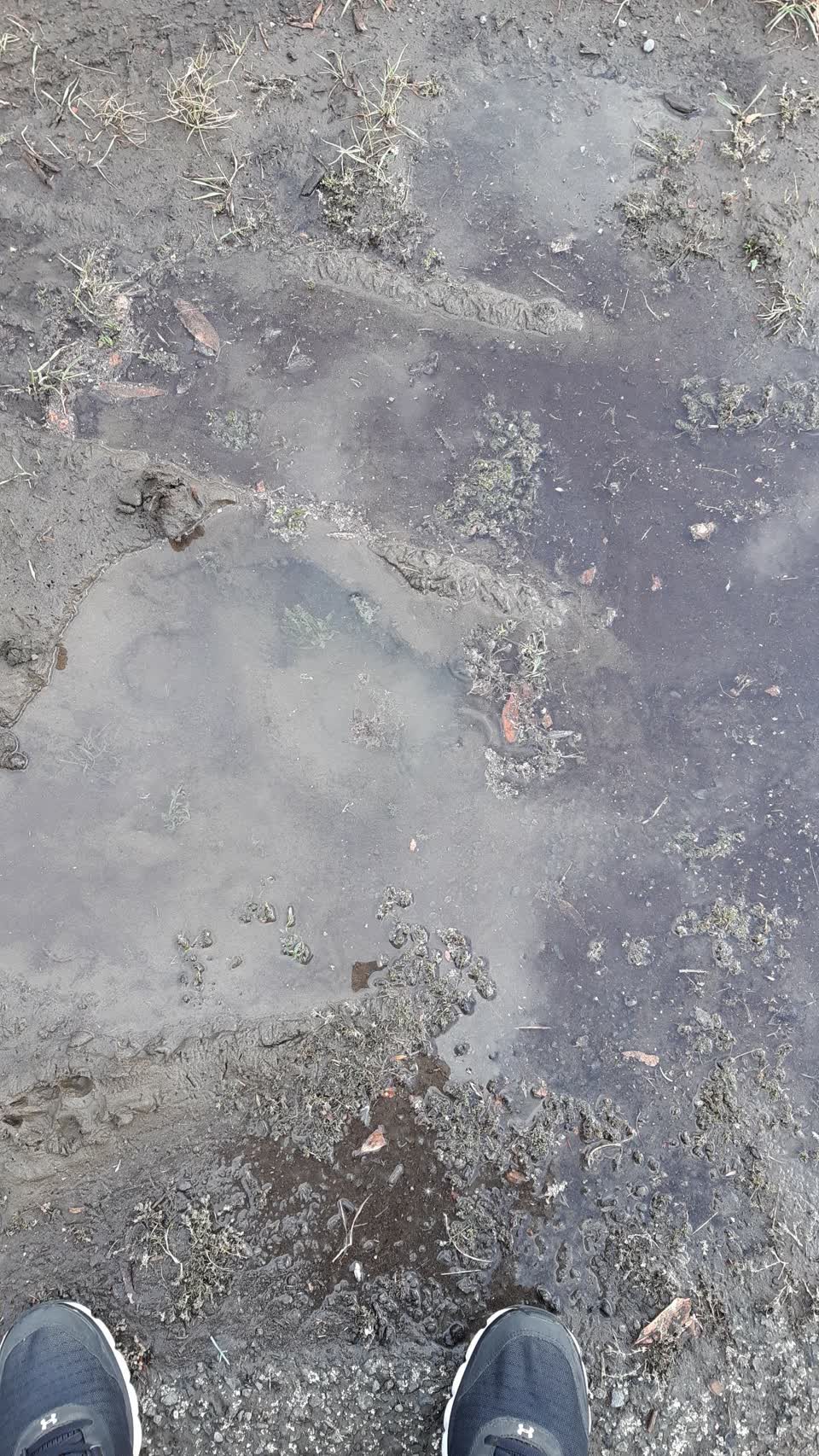 The photograph attached to this water supply report