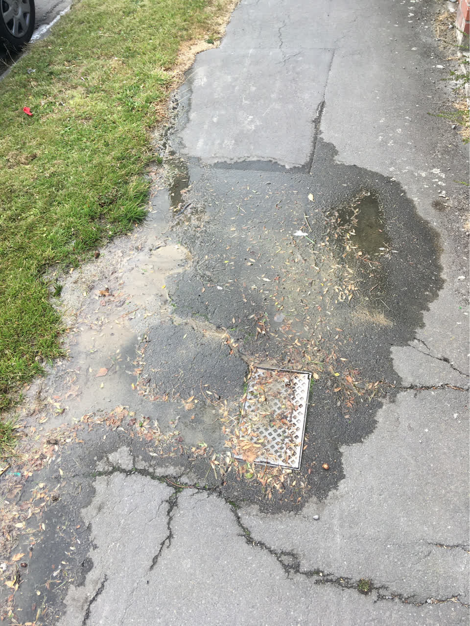 The photograph attached to this water supply report