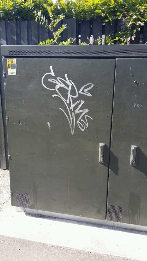 Graffiti, a report photo