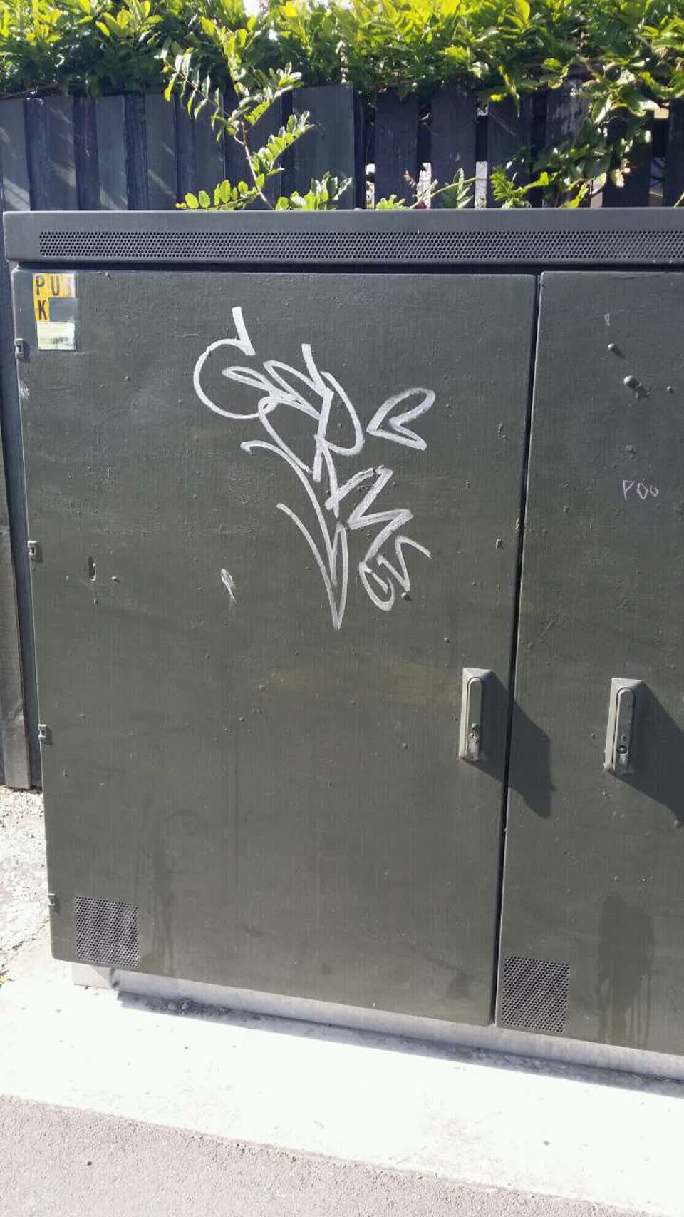 The photograph attached to this graffiti report