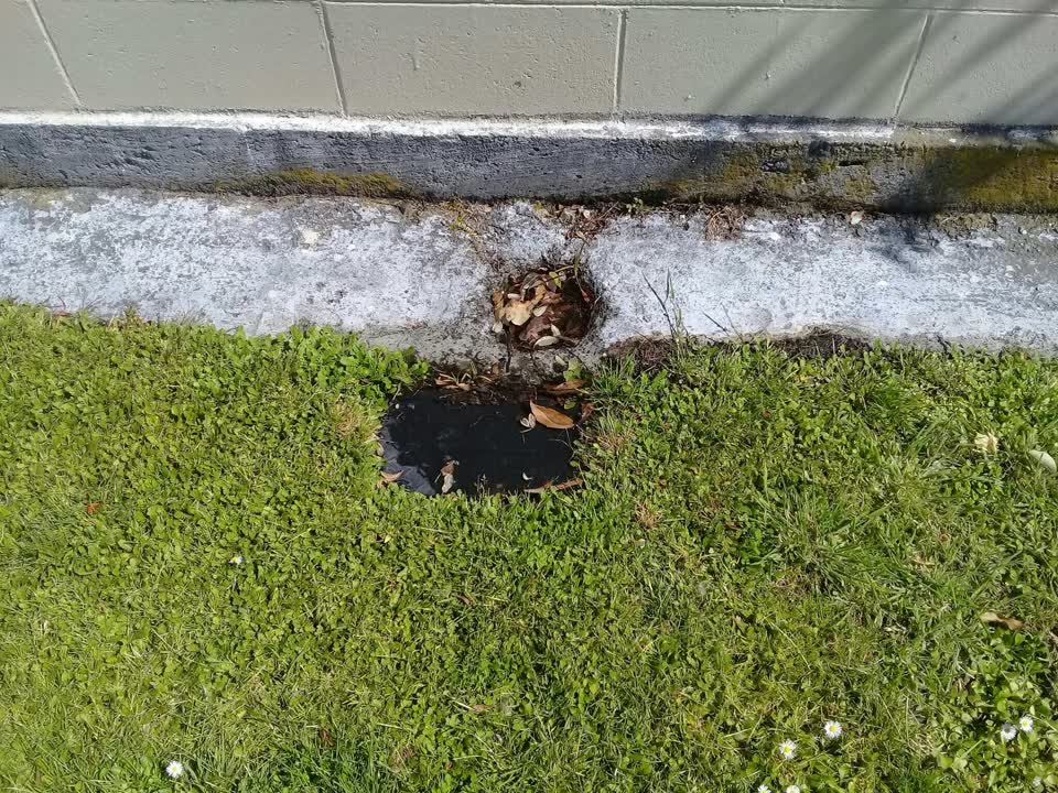 The photograph attached to this water supply report