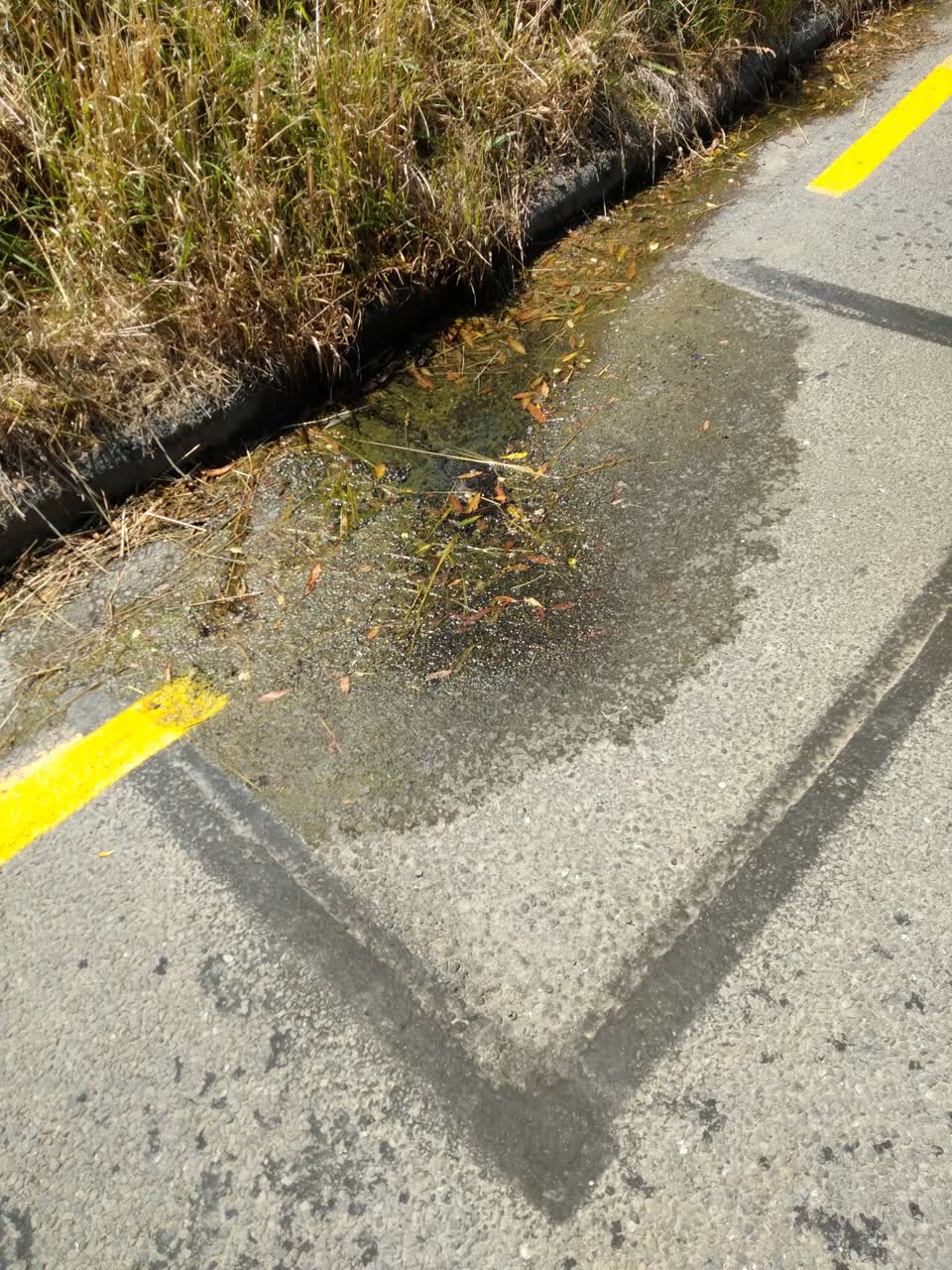 The photograph attached to this water supply report