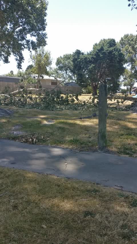 Parks, a report photo