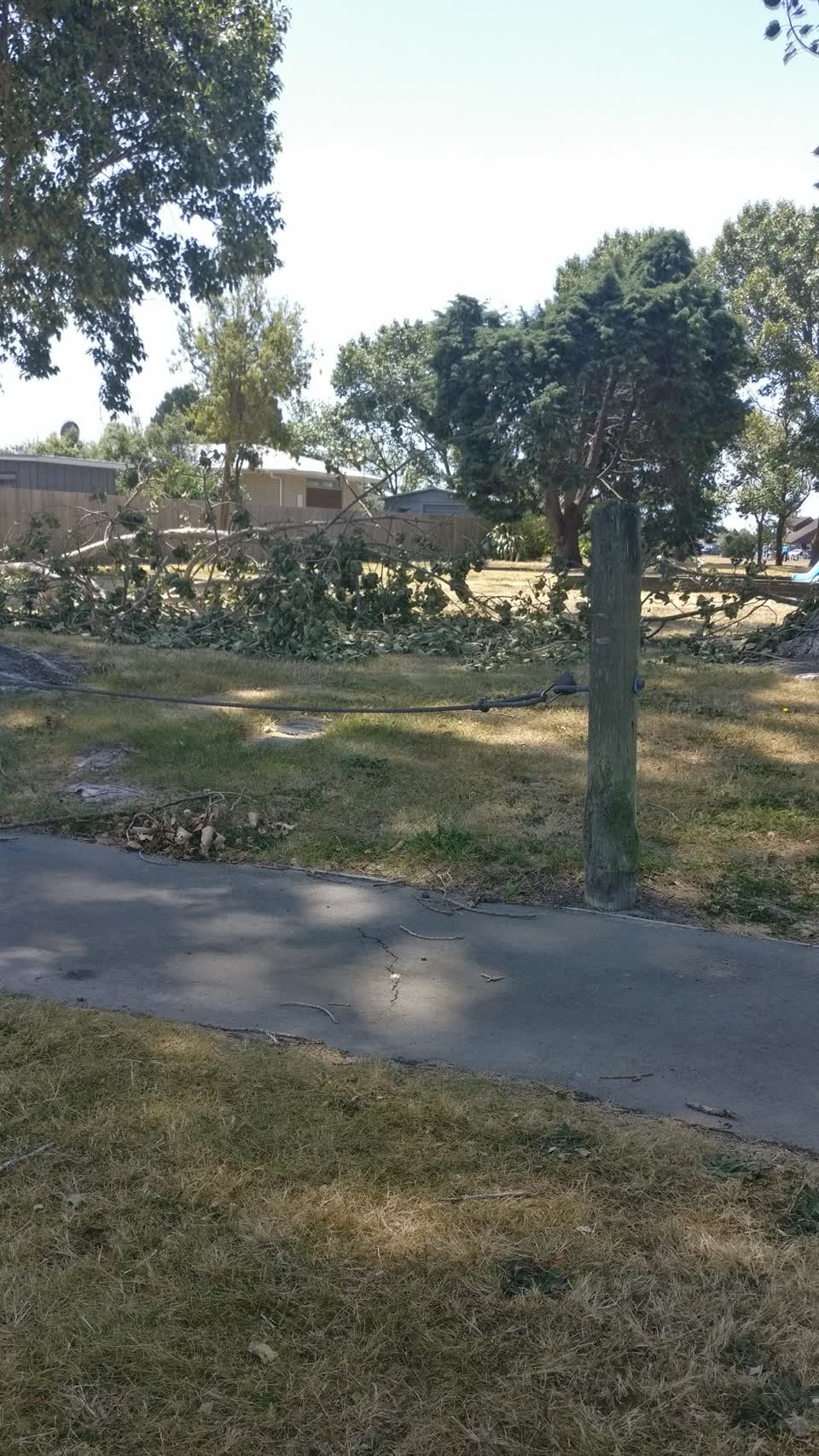 The photograph attached to this parks report