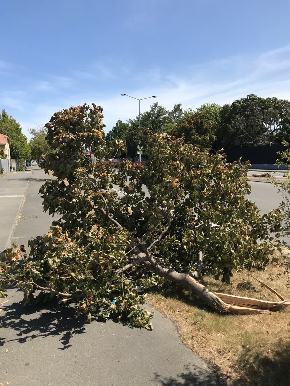 The photograph attached to this roading/streets report