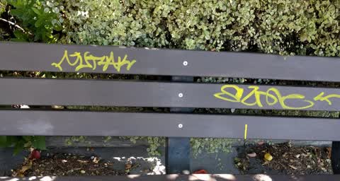 Graffiti, a report photo