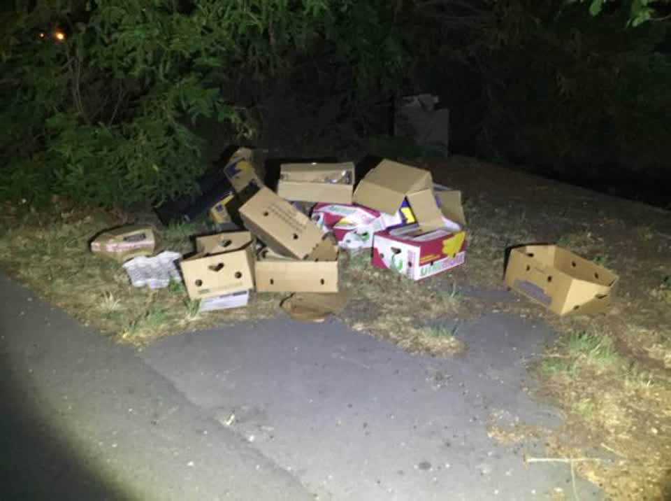 The photograph attached to this rubbish/recycling report
