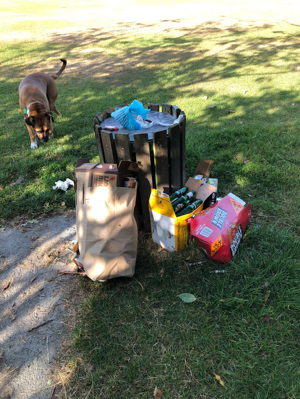 The photograph attached to this rubbish/recycling report