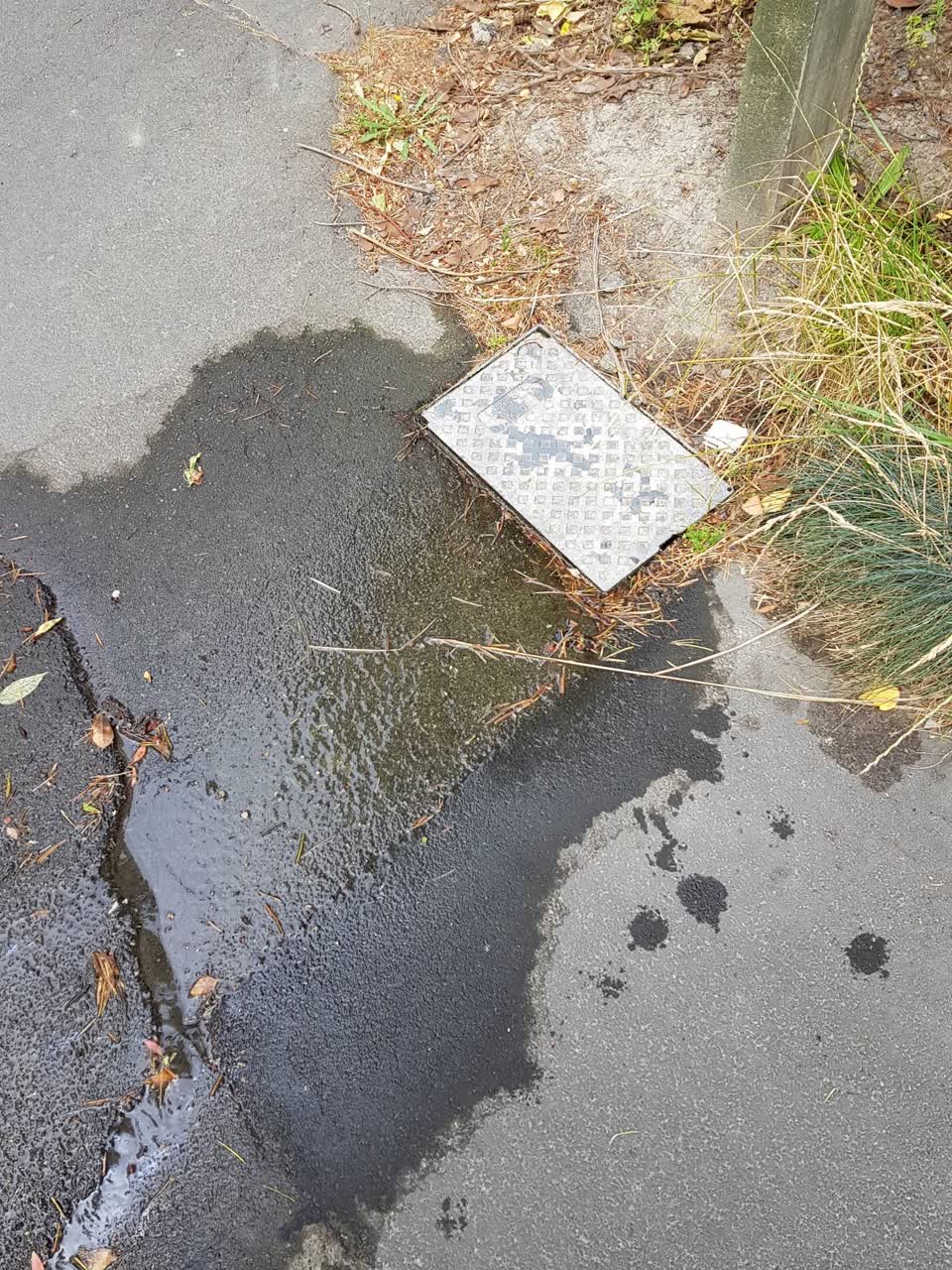 The photograph attached to this water supply report