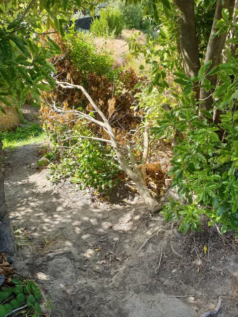 Parks, a report photo