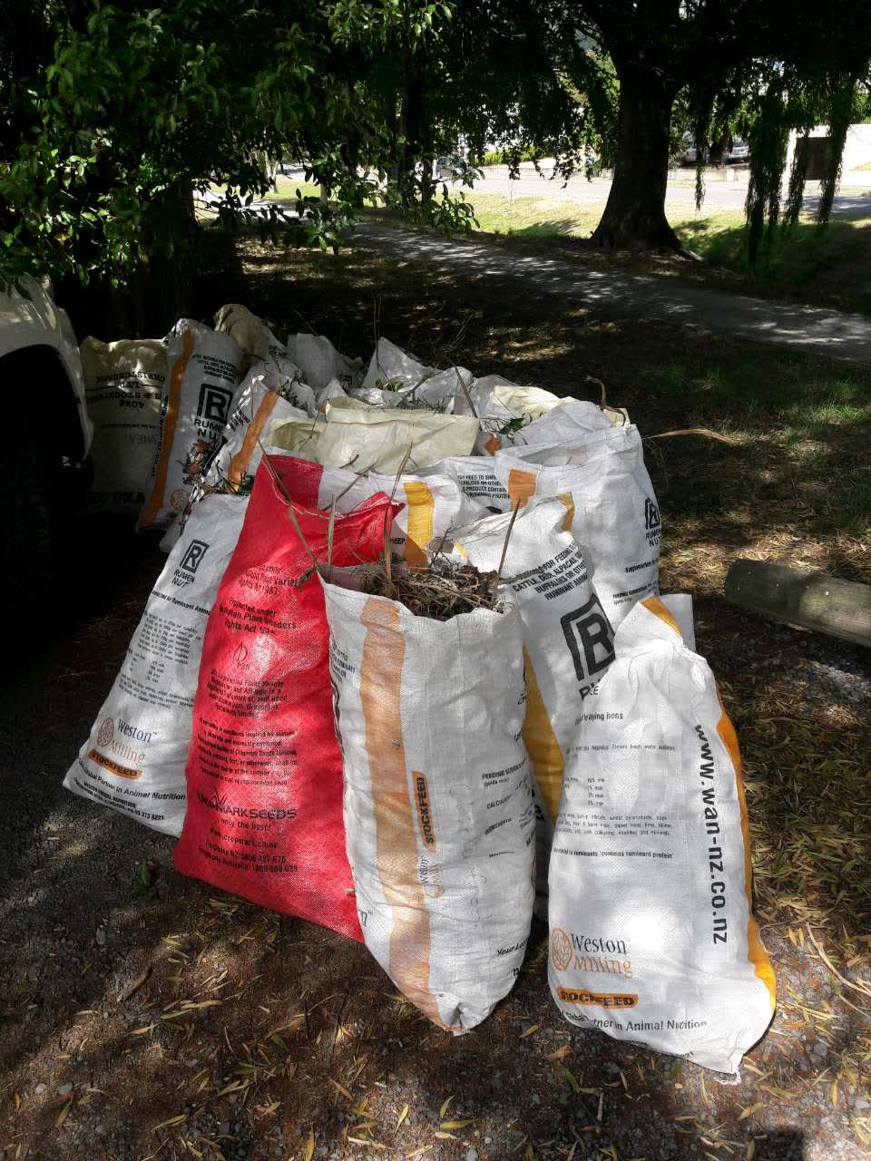 The photograph attached to this parks report