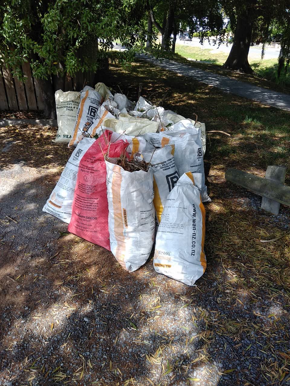 The photograph attached to this parks report