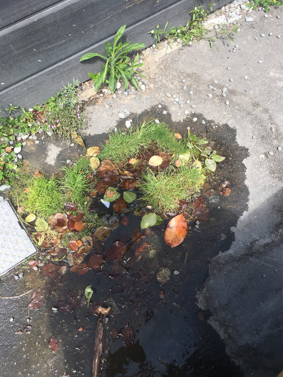 The photograph attached to this water supply report