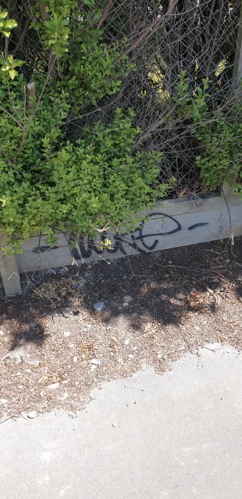 Graffiti, a report photo
