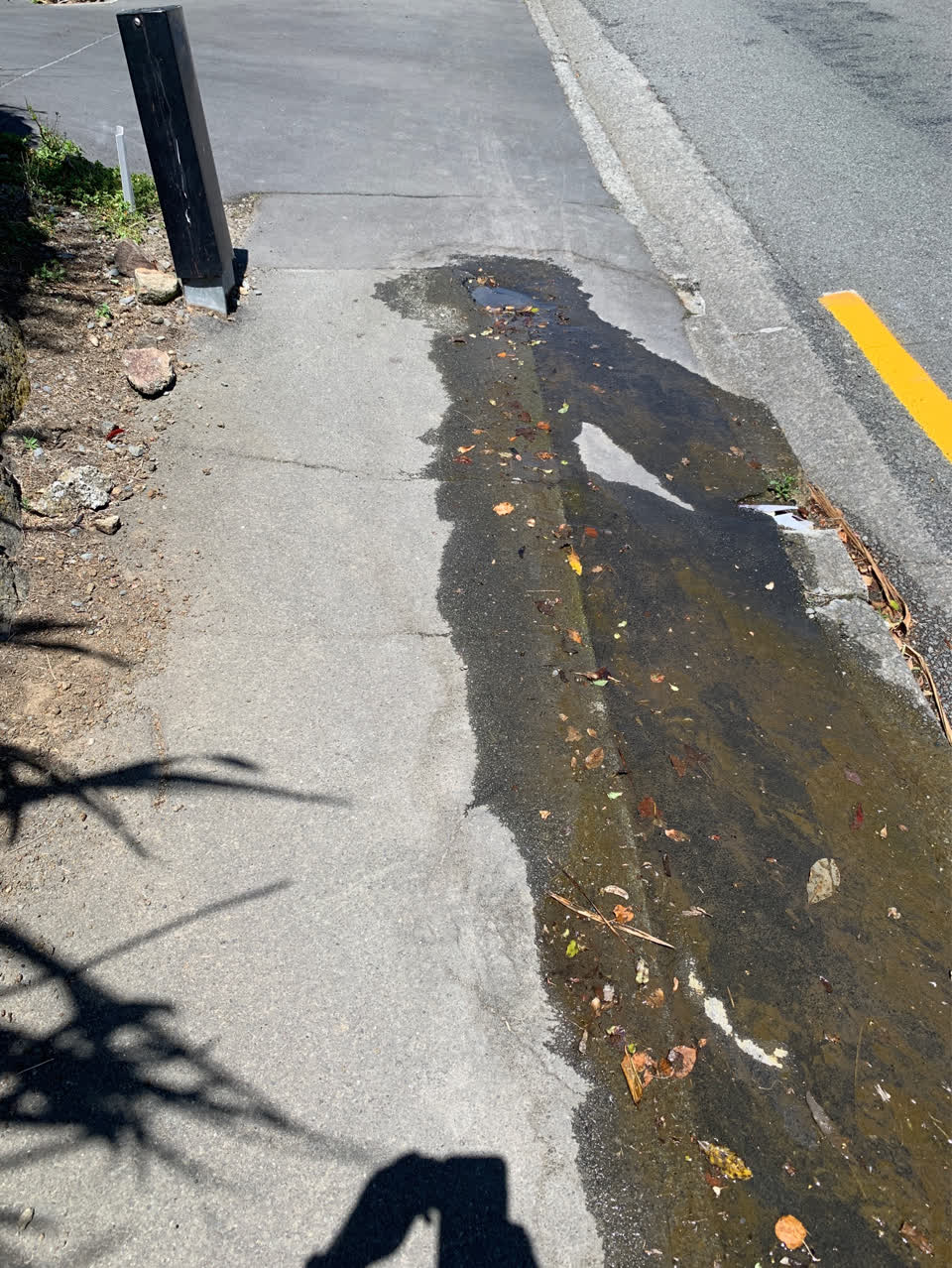 The photograph attached to this water supply report
