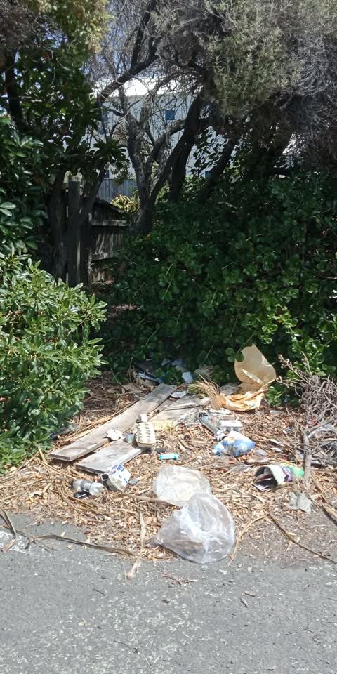 Parks, a report photo