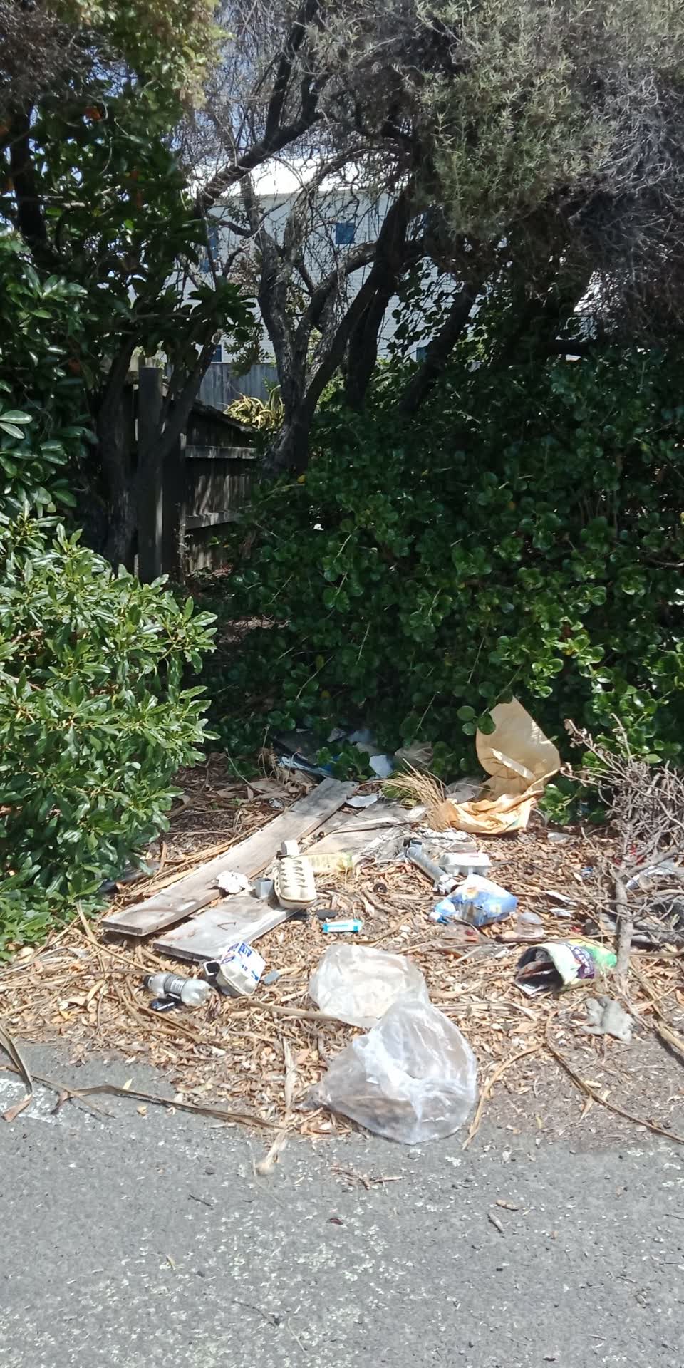 The photograph attached to this parks report