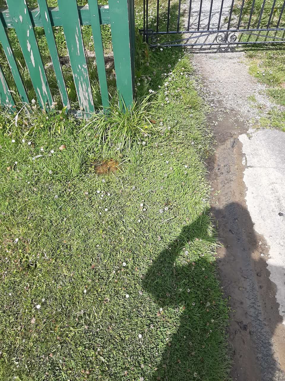 The photograph attached to this flooding report