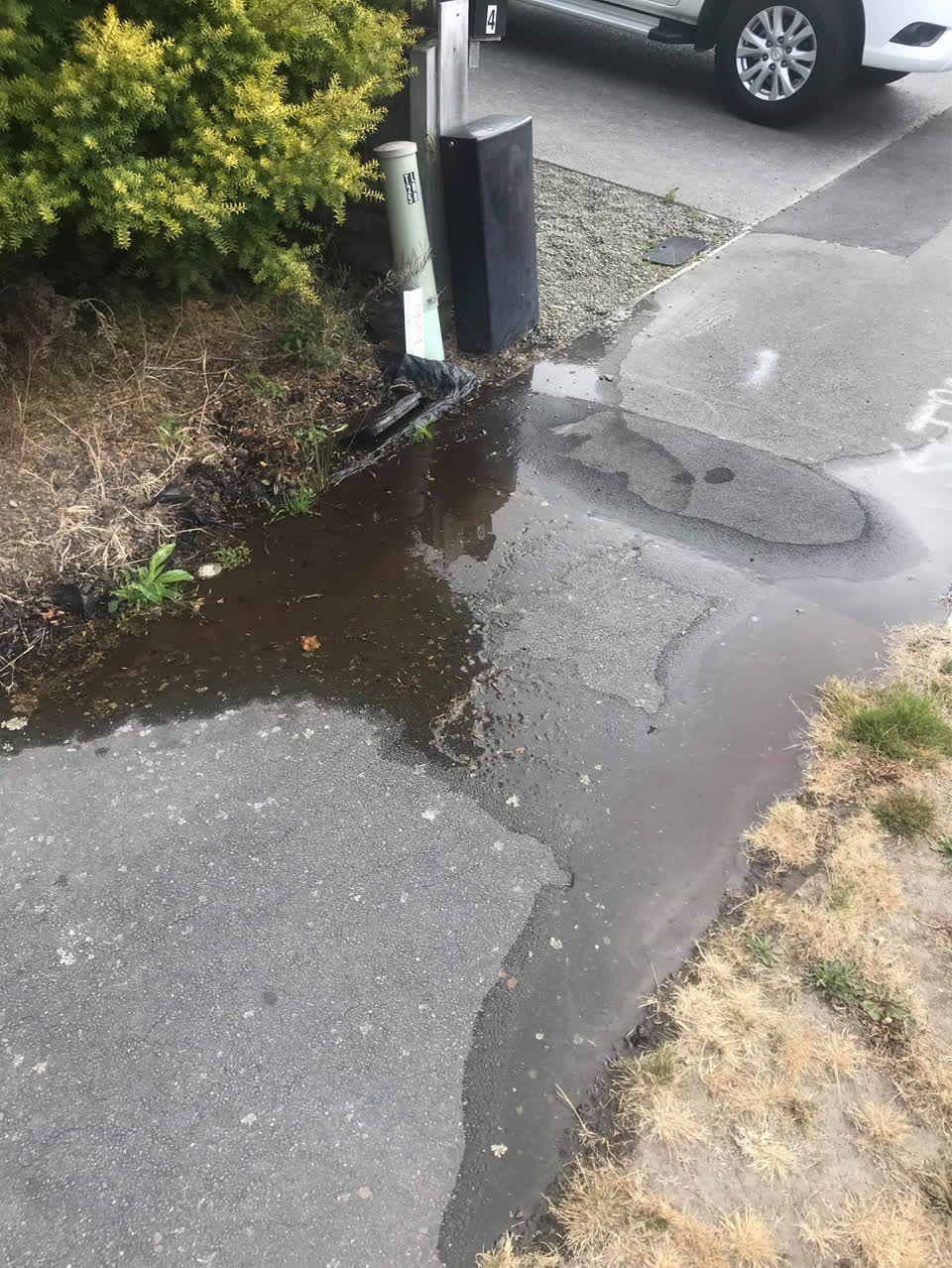 The photograph attached to this water supply report