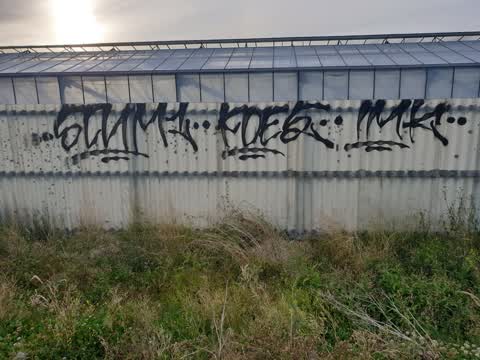 Graffiti, a report photo