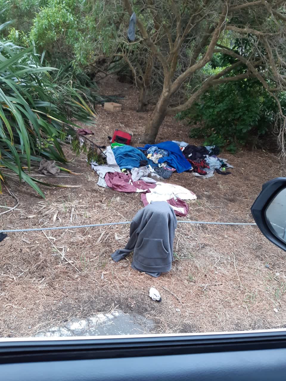 The photograph attached to this parks report