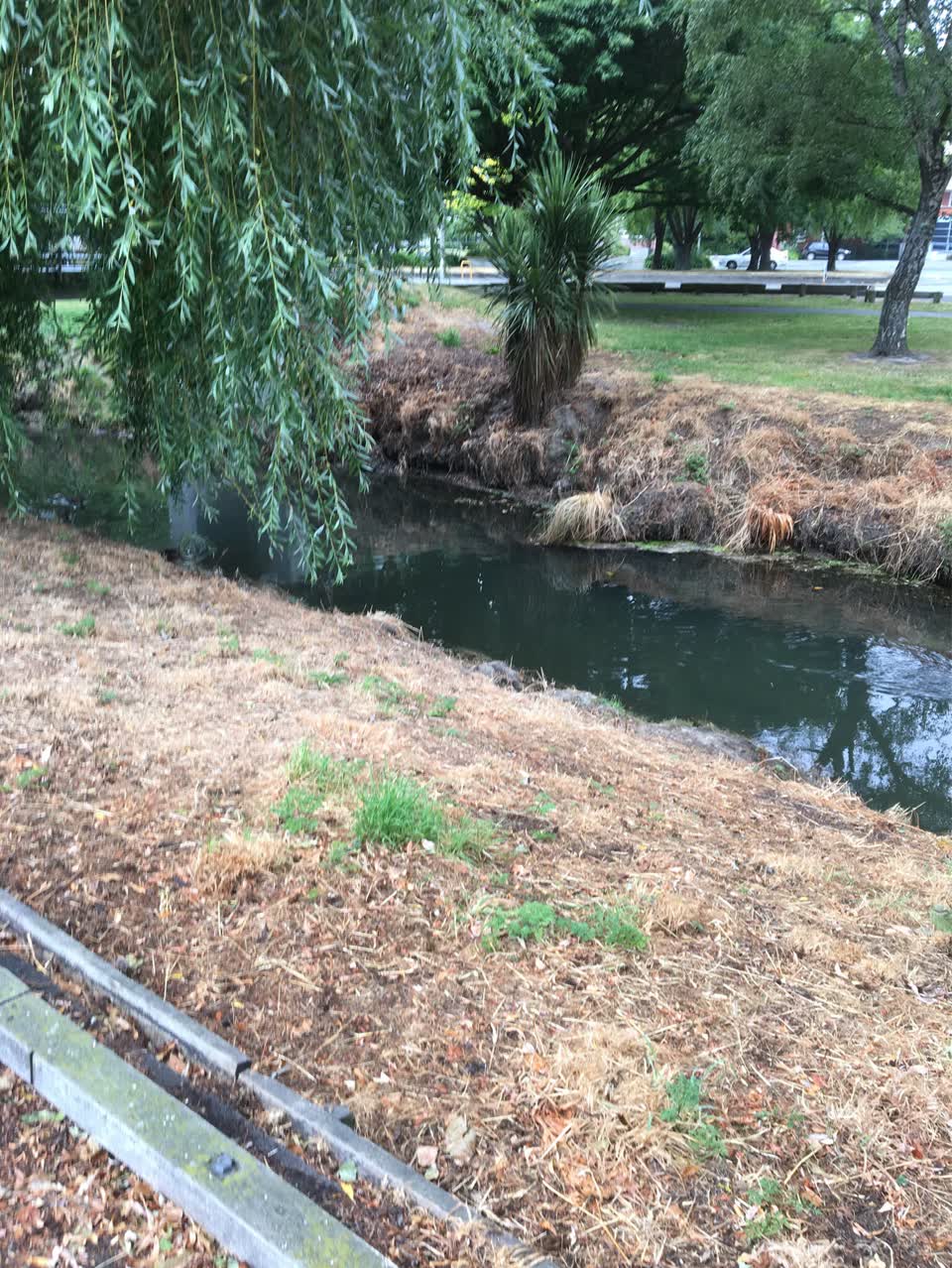 The photograph attached to this parks report