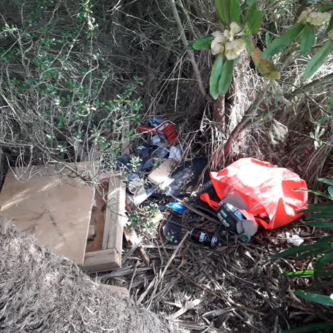 Parks, a report photo