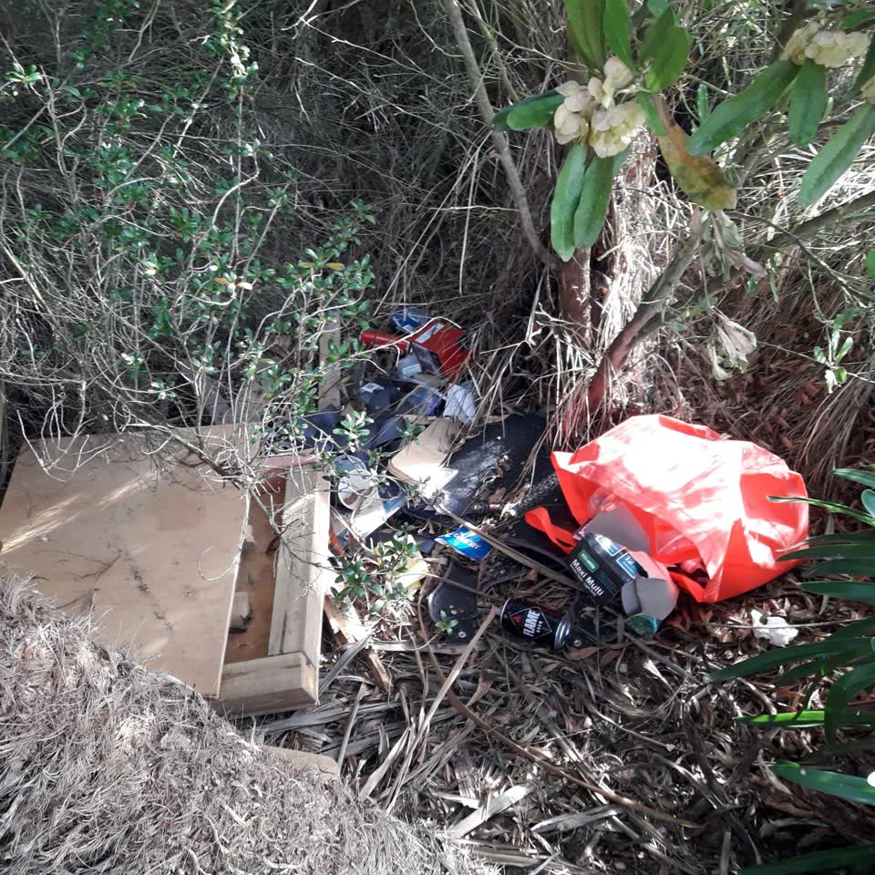 The photograph attached to this parks report