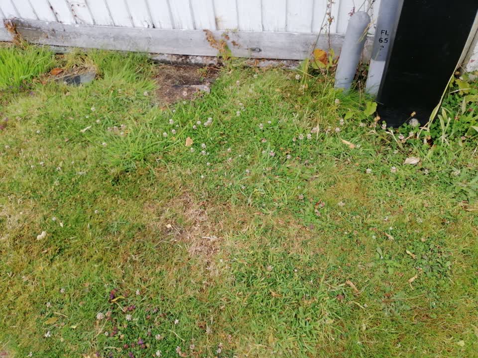 The photograph attached to this water supply report